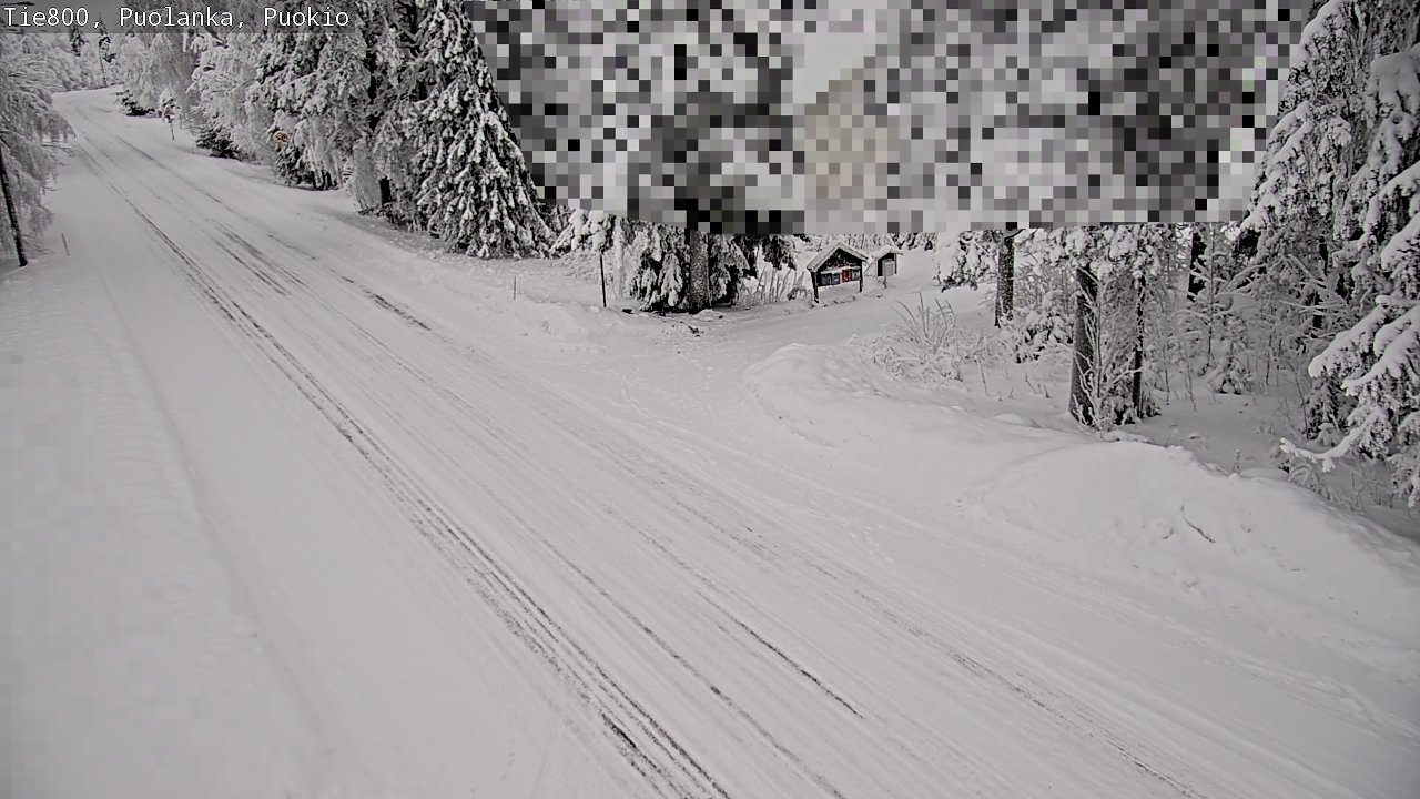 Weather Camera Image Road 800 Puolanka, Puokio, Puolanka, Kainuu