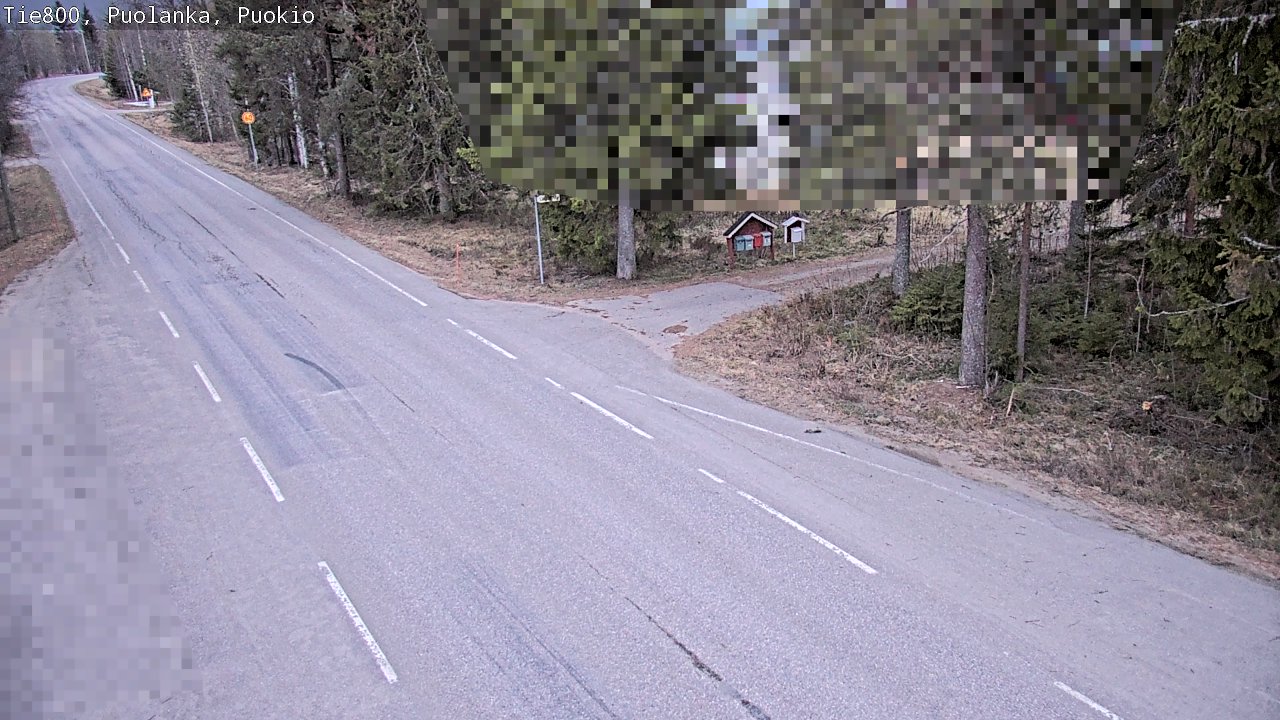 Weather Camera Image Road 800 Puolanka, Puokio, Puolanka, Kainuu