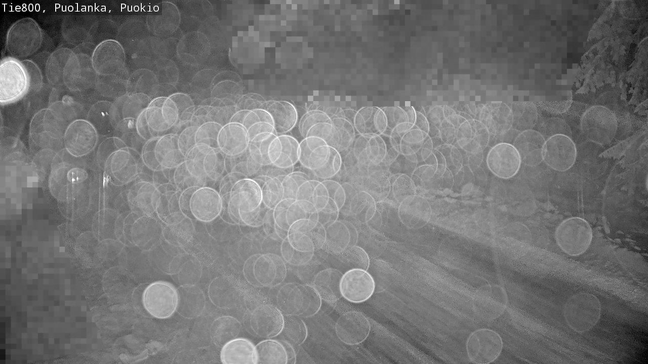 Weather Camera Image Road 800 Puolanka, Puokio, Puolanka, Kainuu