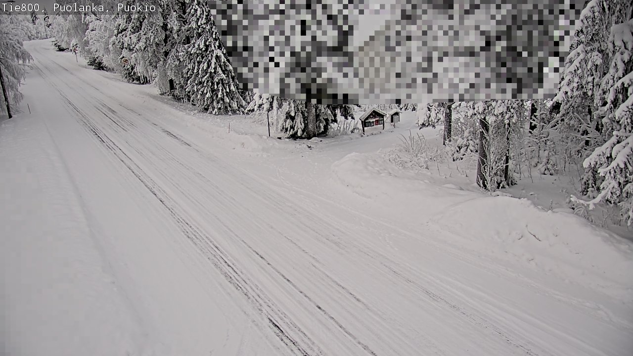Weather Camera Image Road 800 Puolanka, Puokio, Puolanka, Kainuu