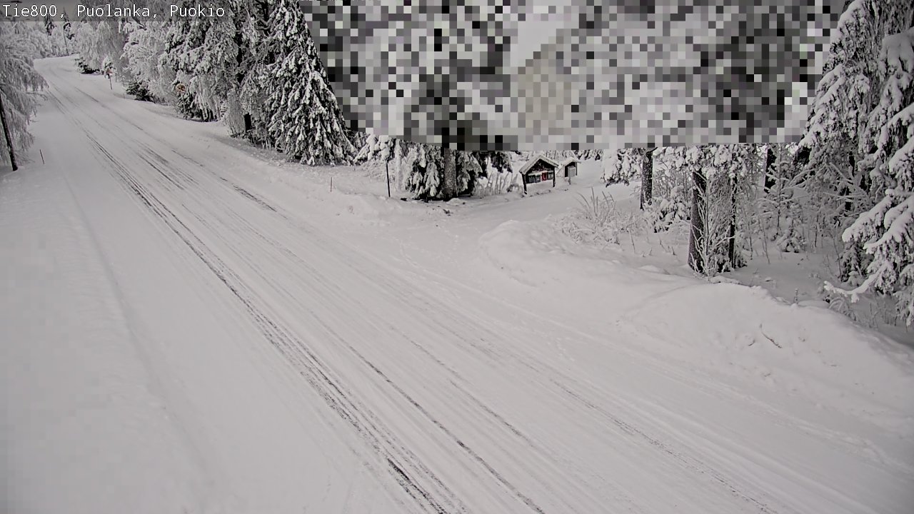 Weather Camera Image Road 800 Puolanka, Puokio, Puolanka, Kainuu