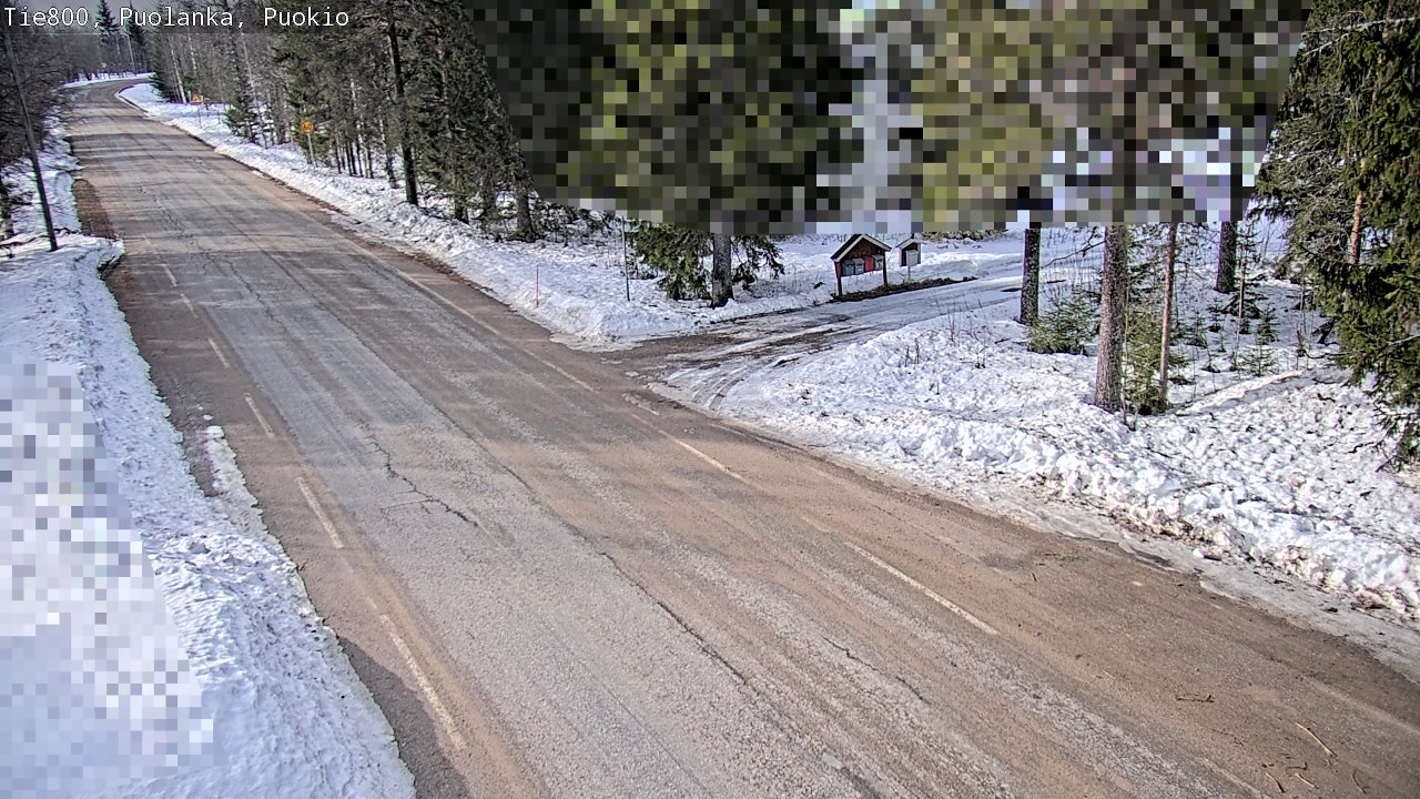 Weather Camera Image Road 800 Puolanka, Puokio, Puolanka, Kainuu