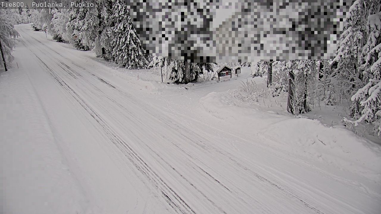Weather Camera Image Road 800 Puolanka, Puokio, Puolanka, Kainuu