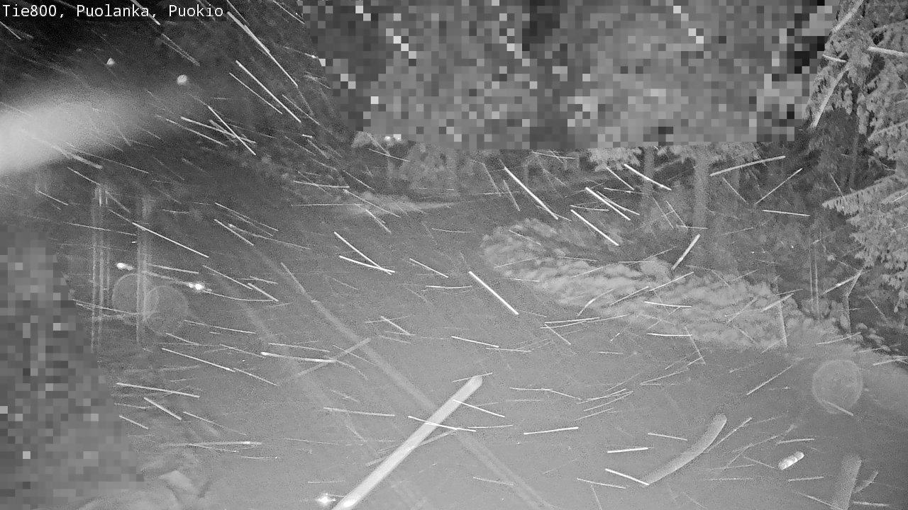 Kelikamerat Kuva Tie 800 Puolanka, Puokio, Puolanka, Kainuu