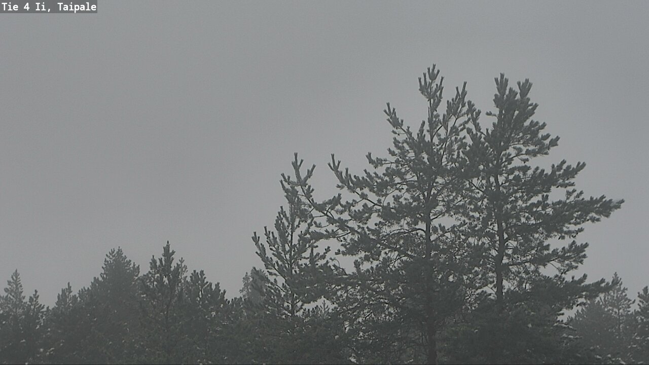 Weather Camera Image Road 4 Ii, Taipale, Ii, Pohjois-Pohjanmaa