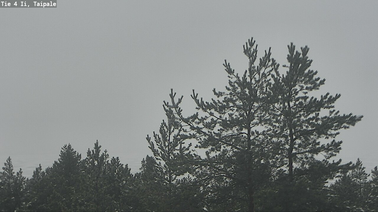 Weather Camera Image Road 4 Ii, Taipale, Ii, Pohjois-Pohjanmaa