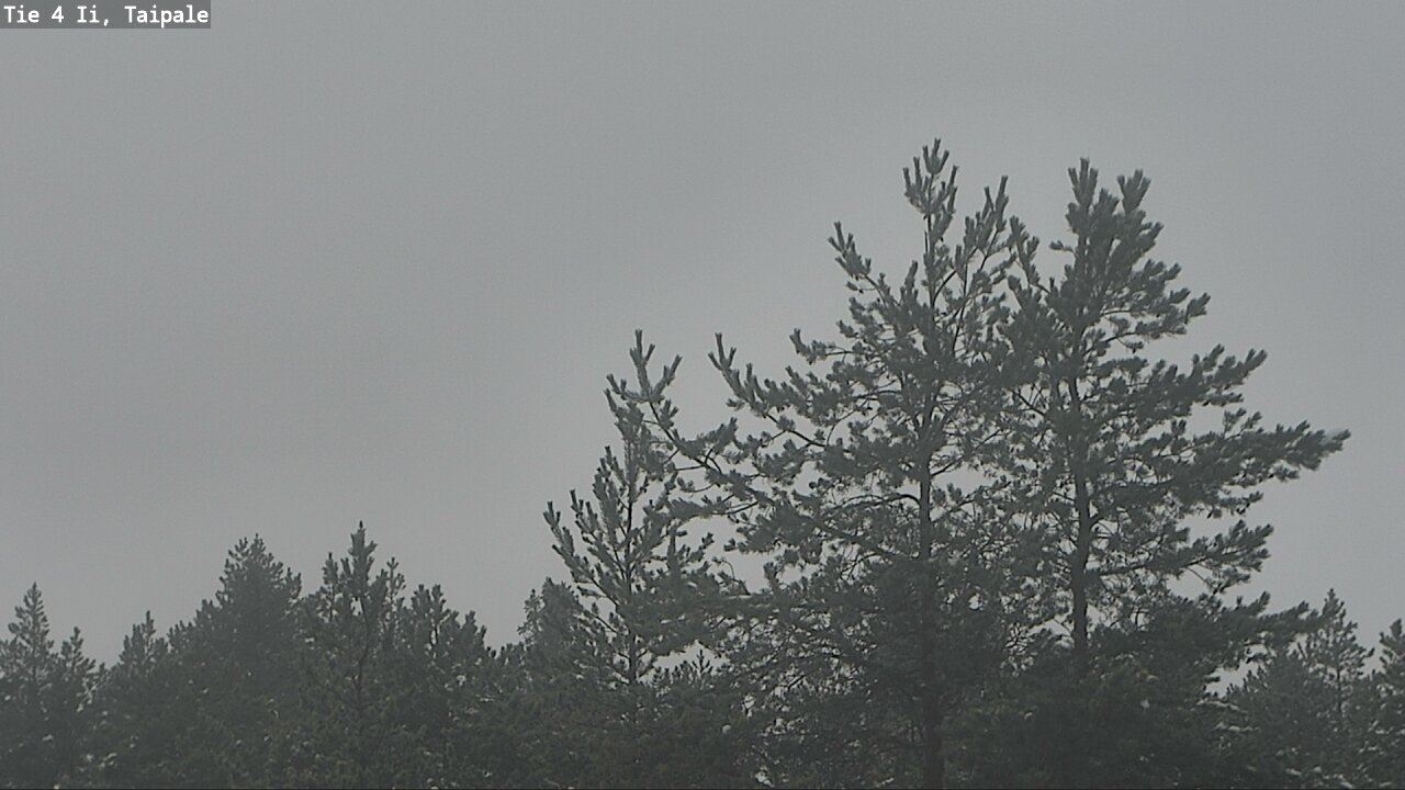Weather Camera Image Road 4 Ii, Taipale, Ii, Pohjois-Pohjanmaa