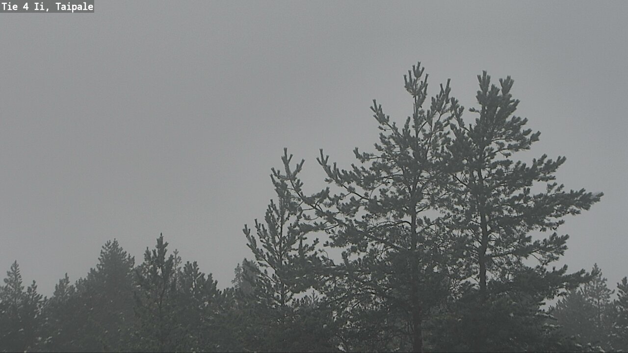 Weather Camera Image Road 4 Ii, Taipale, Ii, Pohjois-Pohjanmaa