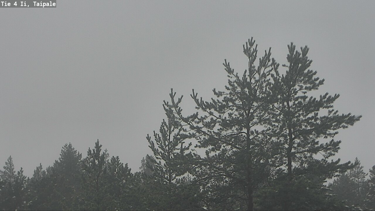 Weather Camera Image Väg 4 Ijo, Taipale, Ii, Pohjois-Pohjanmaa