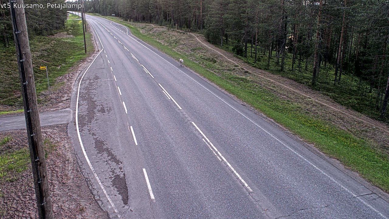 Kelikamerat Kuva Tie 5 Kuusamo, Petäjälampi, Kuusamo, Pohjois-Pohjanmaa