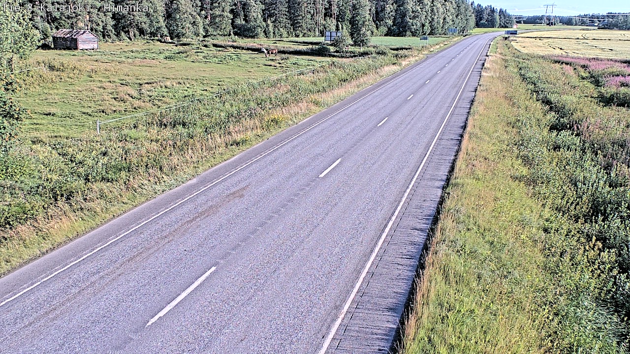 Weather Camera Image Road 8 Kalajoki, Himanka, Kalajoki, Pohjois-Pohjanmaa