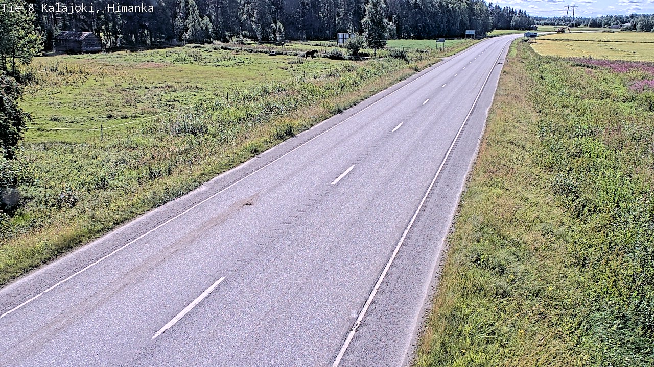 Weather Camera Image Road 8 Kalajoki, Himanka, Kalajoki, Pohjois-Pohjanmaa