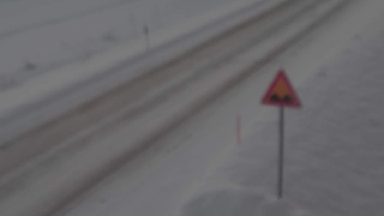 Weather Camera Image Road 78 Puolanka, Paasikoski, Puolanka, Kainuu