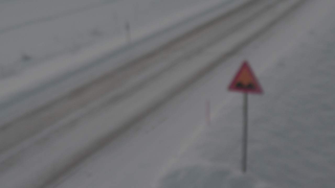 Weather Camera Image Road 78 Puolanka, Paasikoski, Puolanka, Kainuu