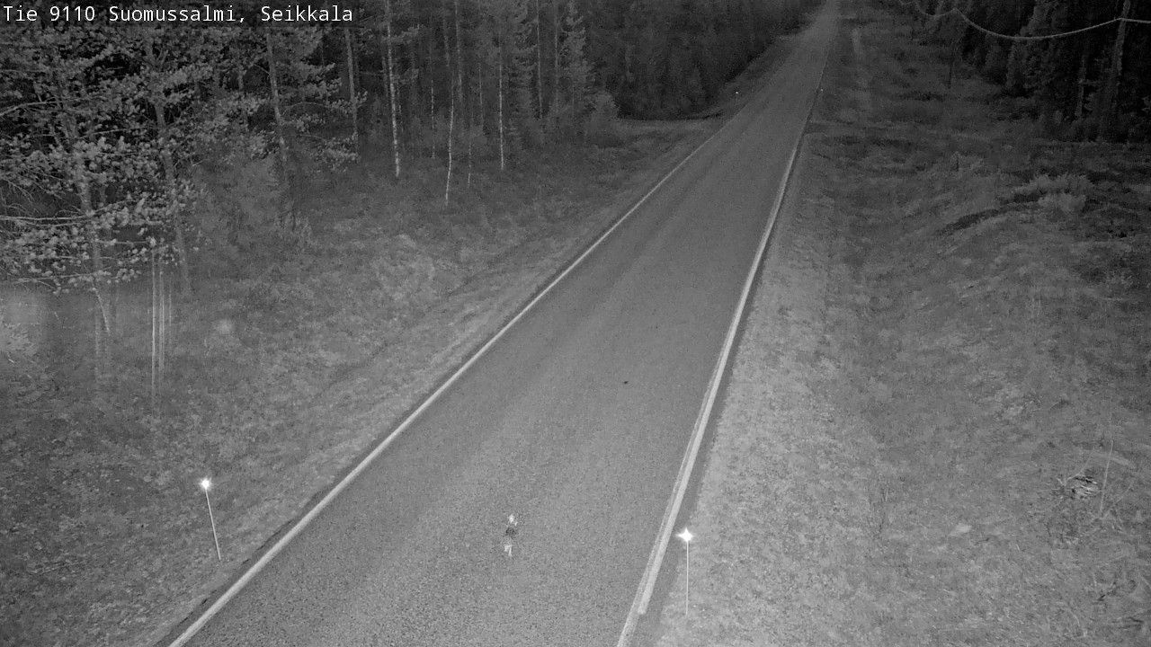 Weather Camera Image Road 9110 Suomussalmi, Seikkala, Suomussalmi, Kainuu
