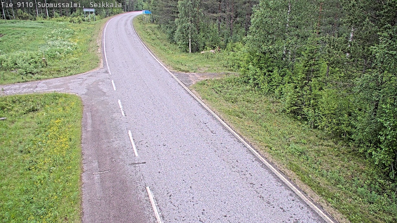 Kelikamerat Kuva Tie 9110 Suomussalmi, Seikkala, Suomussalmi, Kainuu