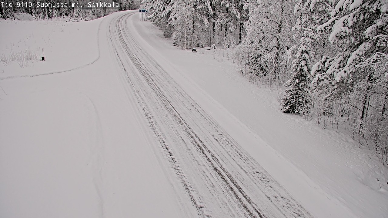 Kelikamerat Kuva Tie 9110 Suomussalmi, Seikkala, Suomussalmi, Kainuu