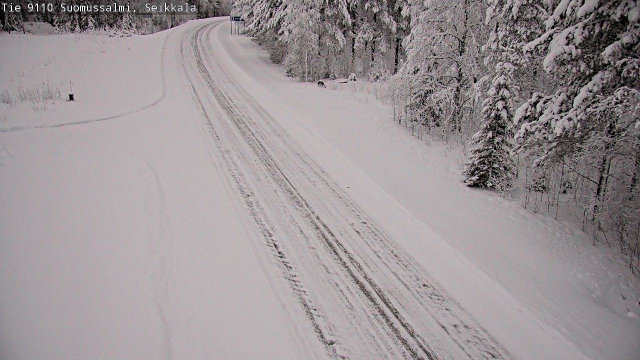 Kelikamerat Kuva Tie 9110 Suomussalmi, Seikkala, Suomussalmi, Kainuu