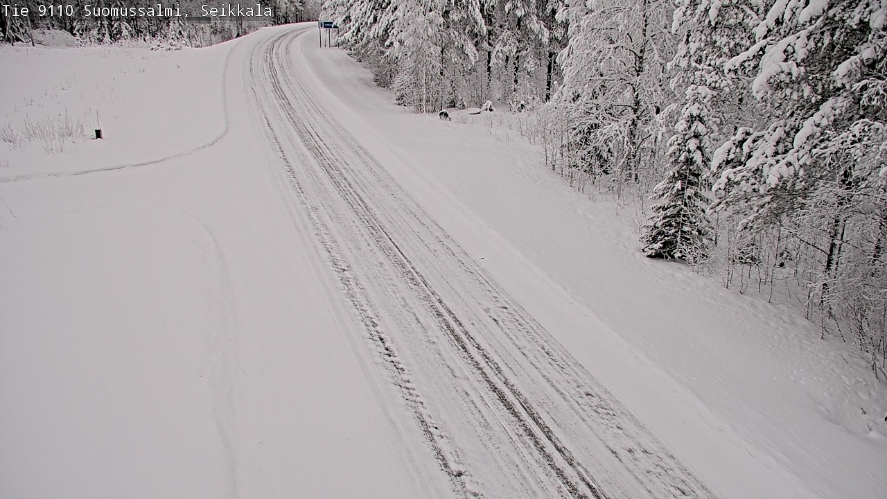 Kelikamerat Kuva Tie 9110 Suomussalmi, Seikkala, Suomussalmi, Kainuu