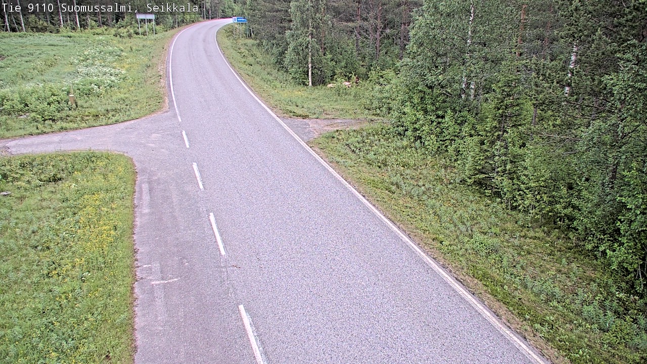 Weather Camera Image Road 9110 Suomussalmi, Seikkala, Suomussalmi, Kainuu