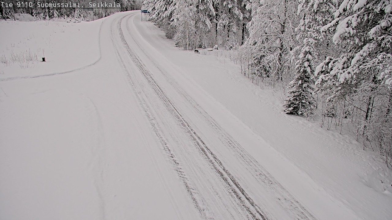 Kelikamerat Kuva Tie 9110 Suomussalmi, Seikkala, Suomussalmi, Kainuu