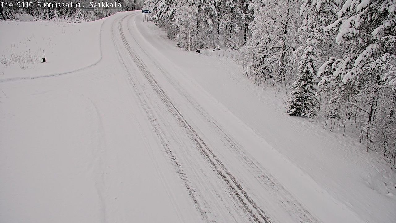 Kelikamerat Kuva Tie 9110 Suomussalmi, Seikkala, Suomussalmi, Kainuu