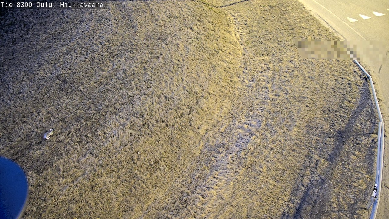 Weather Camera Image väg 8300 Oulu Hiukkavaara, Oulu, Pohjois-Pohjanmaa