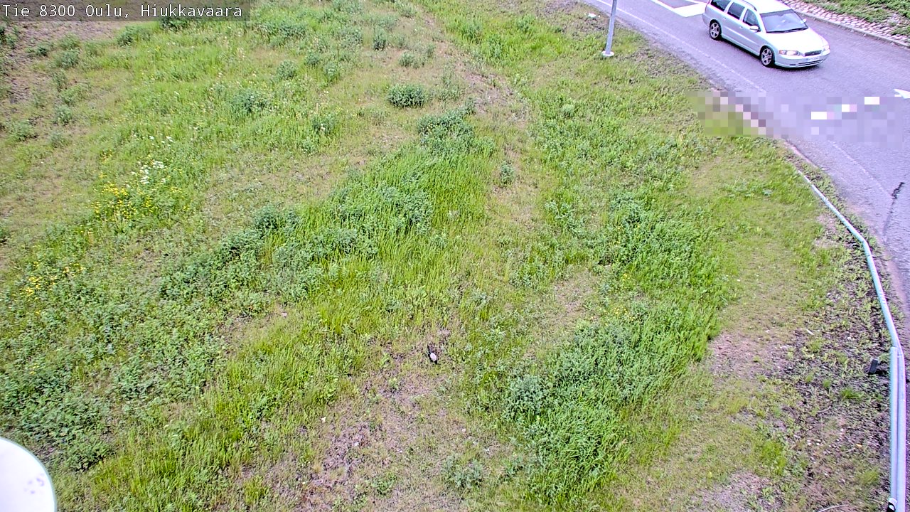 Weather Camera Image väg 8300 Oulu Hiukkavaara, Oulu, Pohjois-Pohjanmaa