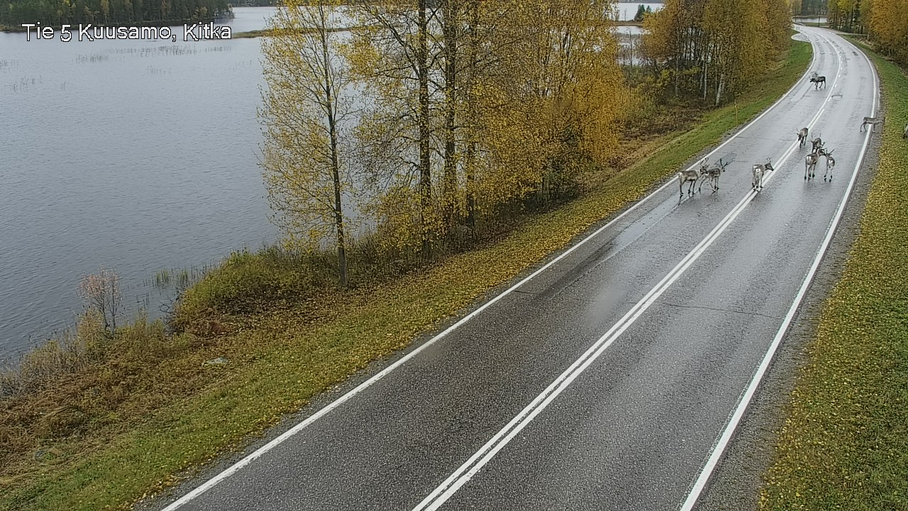 Weather Camera Image Road 5 Kuusamo, Kitka, Kuusamo, Pohjois-Pohjanmaa