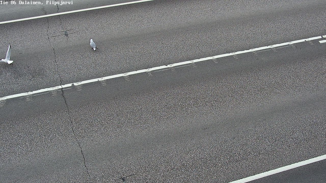 Weather Camera Image Road 86 Oulainen, Piipsjärvi, Oulainen, Pohjois-Pohjanmaa