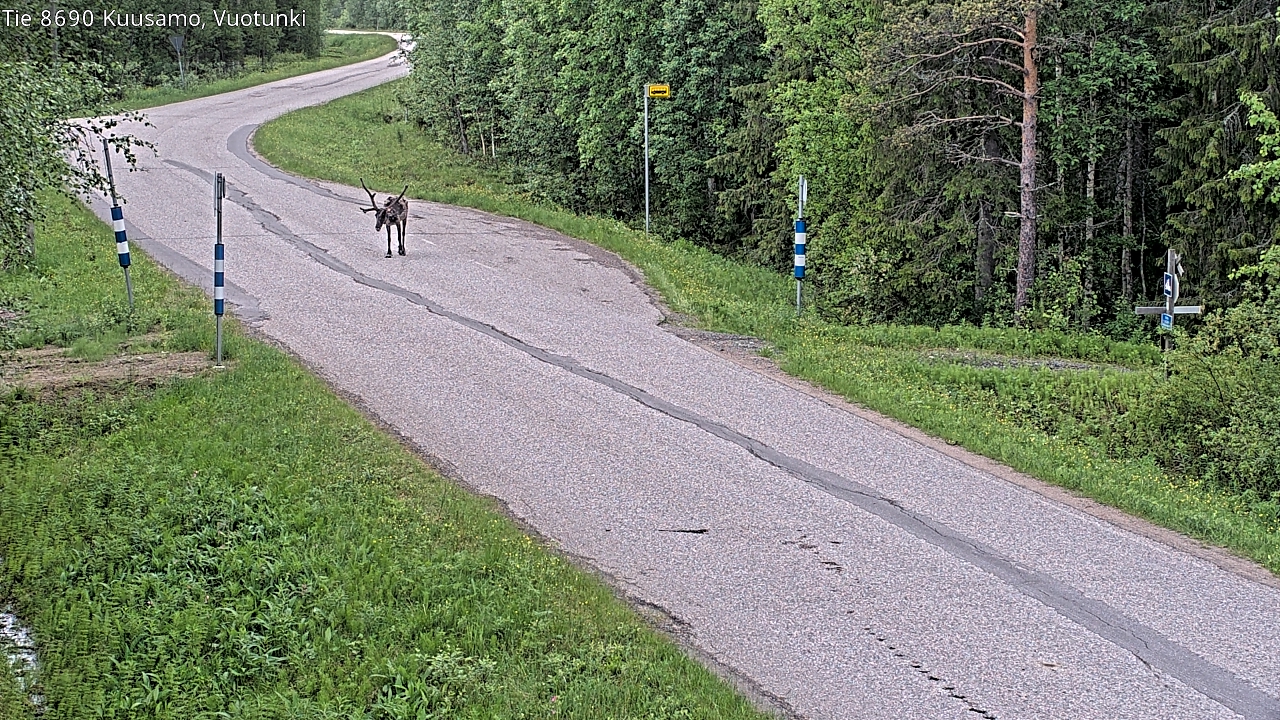 Kelikamerat Kuva Tie 8690 Kuusamo, Vuotunki, Kuusamo, Pohjois-Pohjanmaa