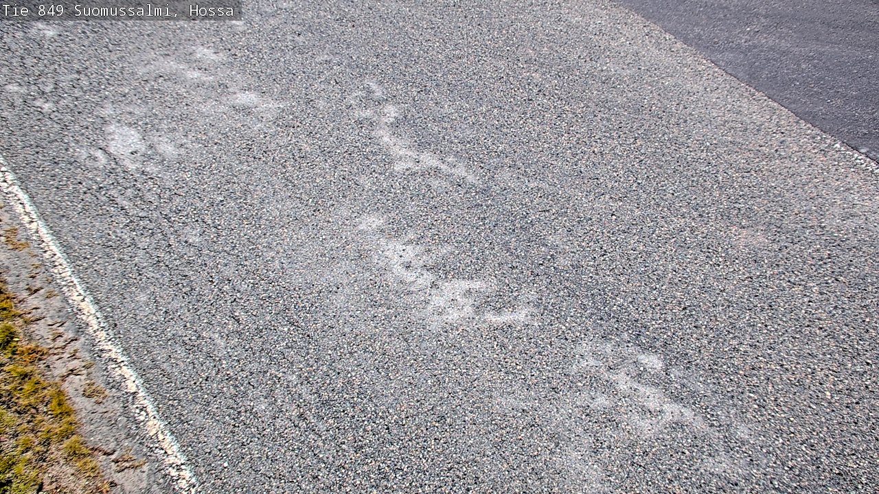 Kelikamerat Kuva Tie 843 Suomussalmi, Hossa, Suomussalmi, Kainuu