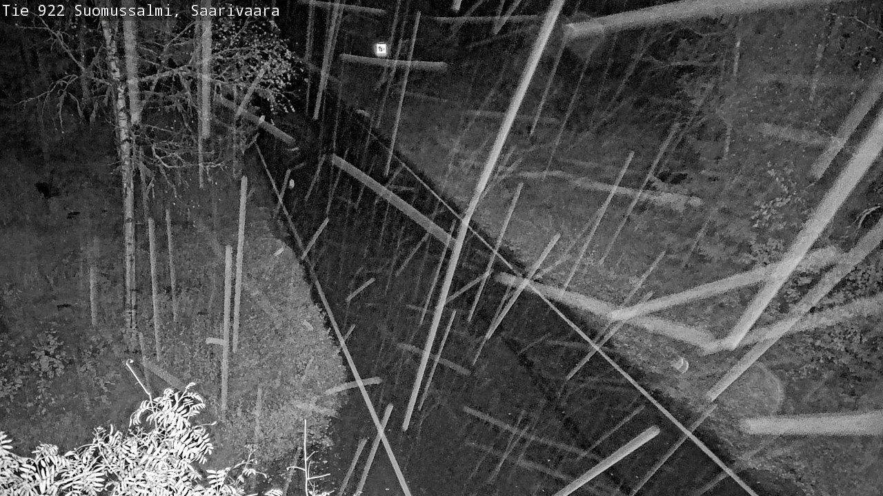 Kelikamerat Kuva Tie 843 Suomussalmi, Saarivaara, Suomussalmi, Kainuu