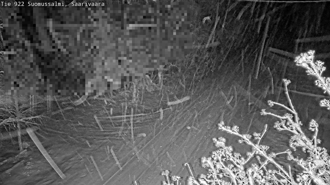 Weather Camera Image Road 950 843 Suomussalmi, Saarivaara, Suomussalmi, Kainuu