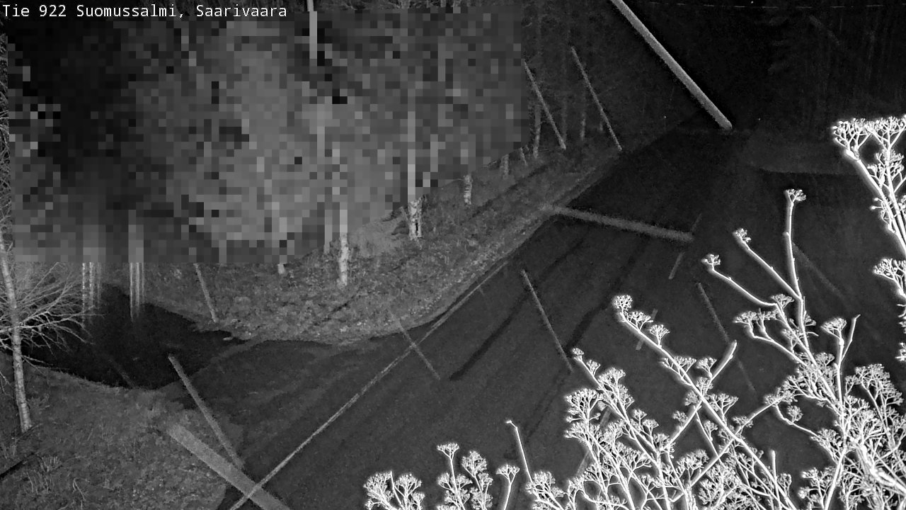 Kelikamerat Kuva Tie 843 Suomussalmi, Saarivaara, Suomussalmi, Kainuu