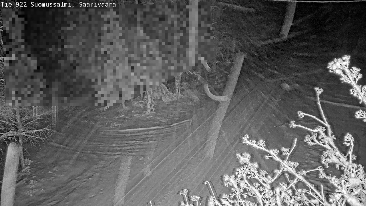 Weather Camera Image Road 950 843 Suomussalmi, Saarivaara, Suomussalmi, Kainuu