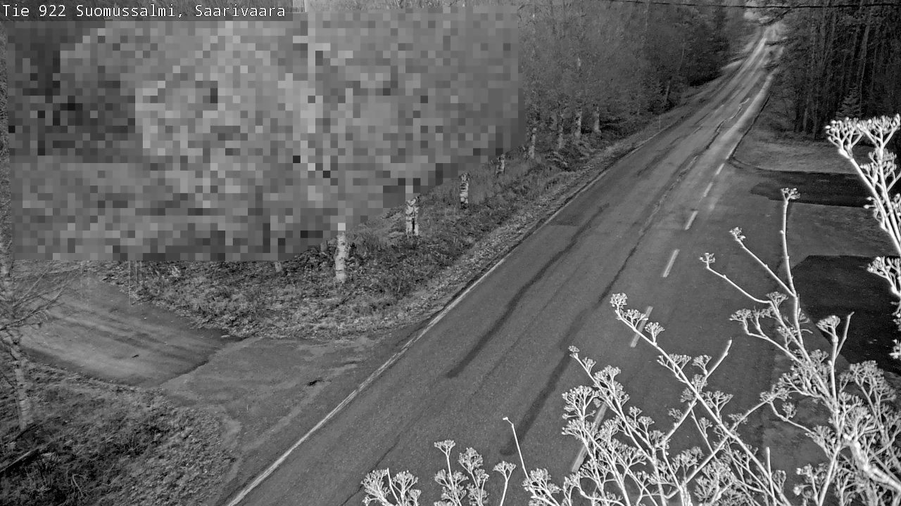 Kelikamerat Kuva Tie 843 Suomussalmi, Saarivaara, Suomussalmi, Kainuu