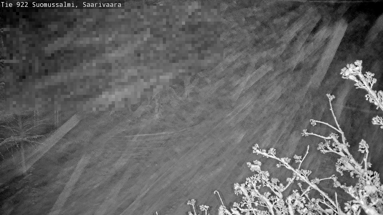 Weather Camera Image Road 950 843 Suomussalmi, Saarivaara, Suomussalmi, Kainuu