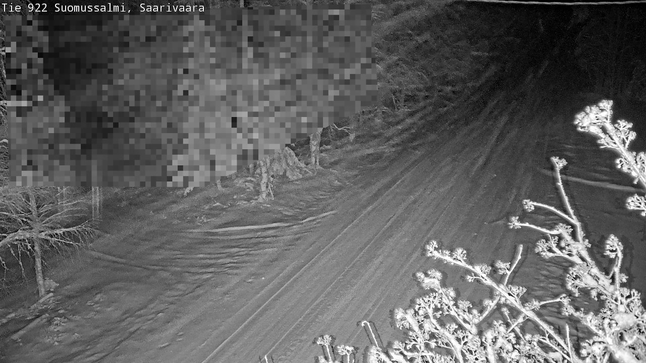 Weather Camera Image Road 950 843 Suomussalmi, Saarivaara, Suomussalmi, Kainuu