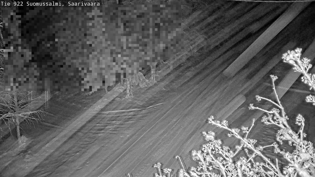 Weather Camera Image Road 950 843 Suomussalmi, Saarivaara, Suomussalmi, Kainuu