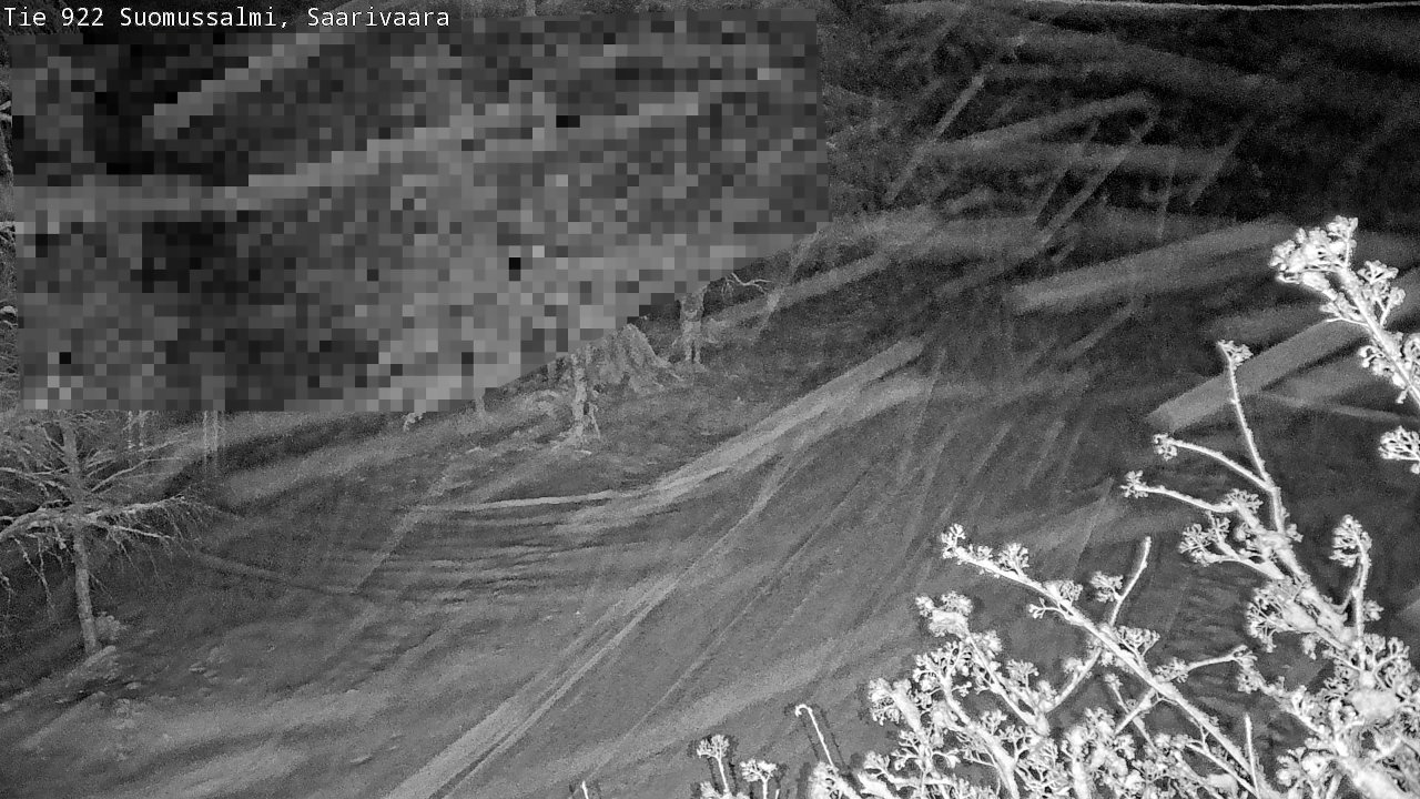 Weather Camera Image Road 950 843 Suomussalmi, Saarivaara, Suomussalmi, Kainuu