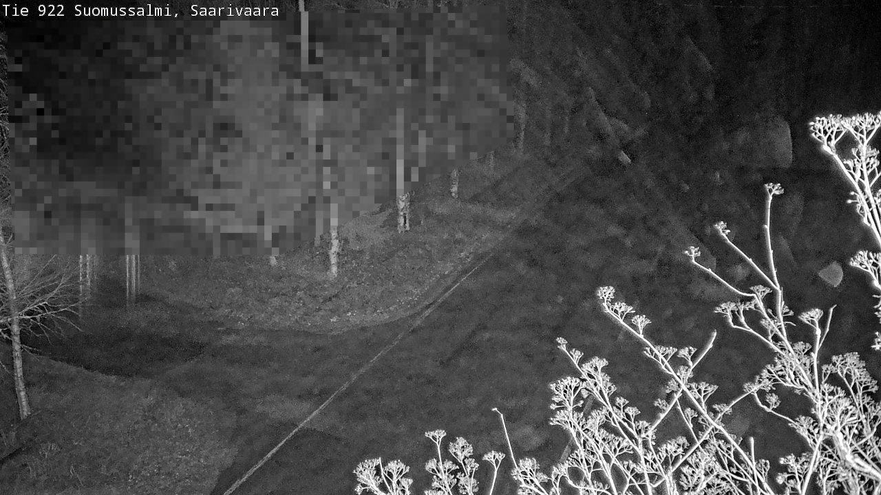 Kelikamerat Kuva Tie 843 Suomussalmi, Saarivaara, Suomussalmi, Kainuu