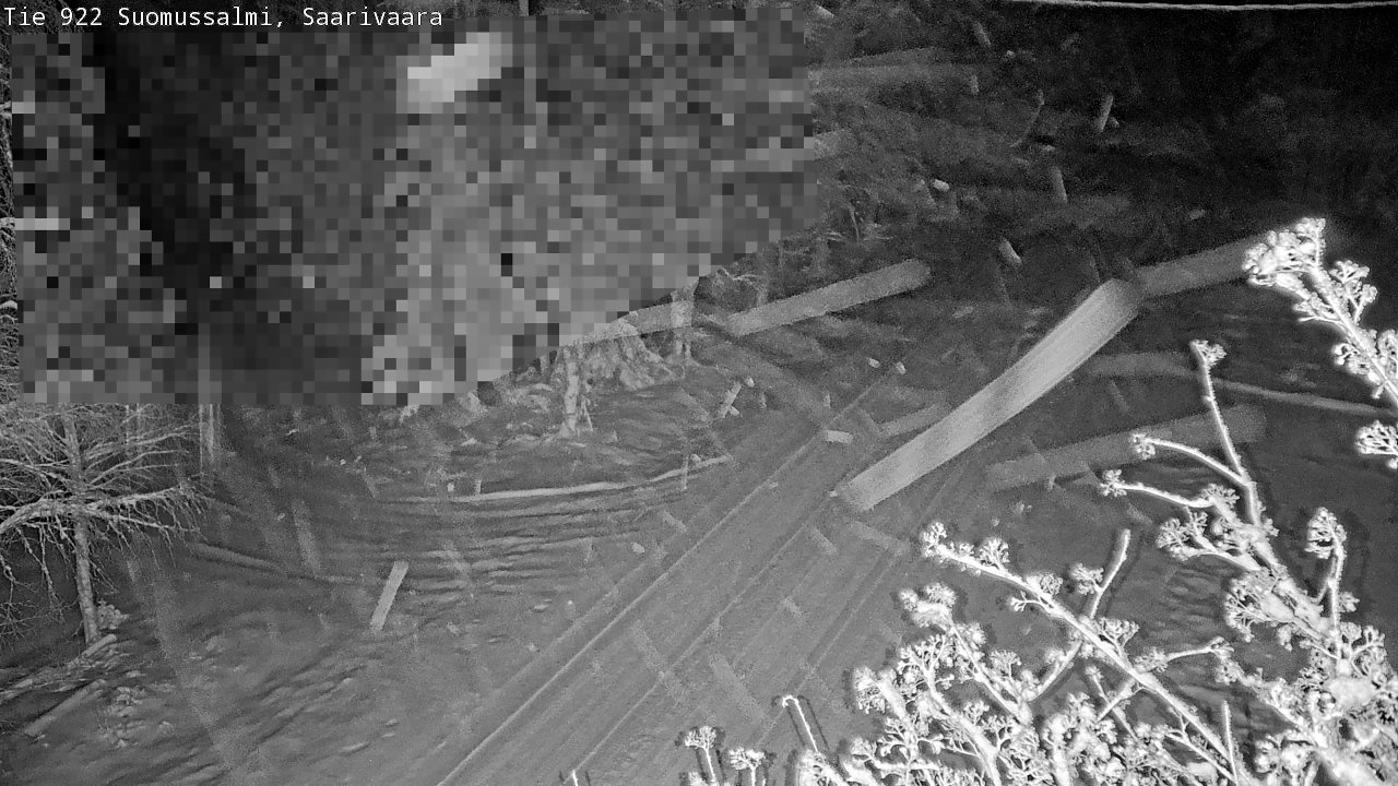 Weather Camera Image Road 950 843 Suomussalmi, Saarivaara, Suomussalmi, Kainuu