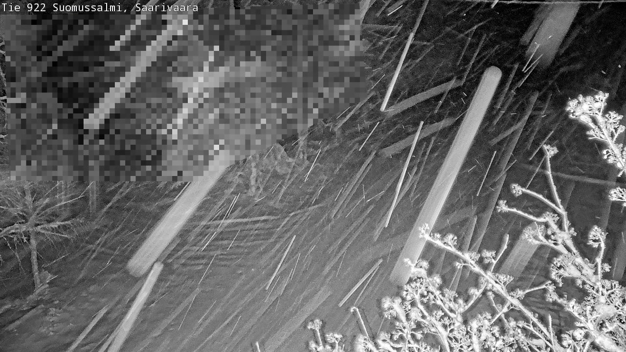 Weather Camera Image Road 950 843 Suomussalmi, Saarivaara, Suomussalmi, Kainuu