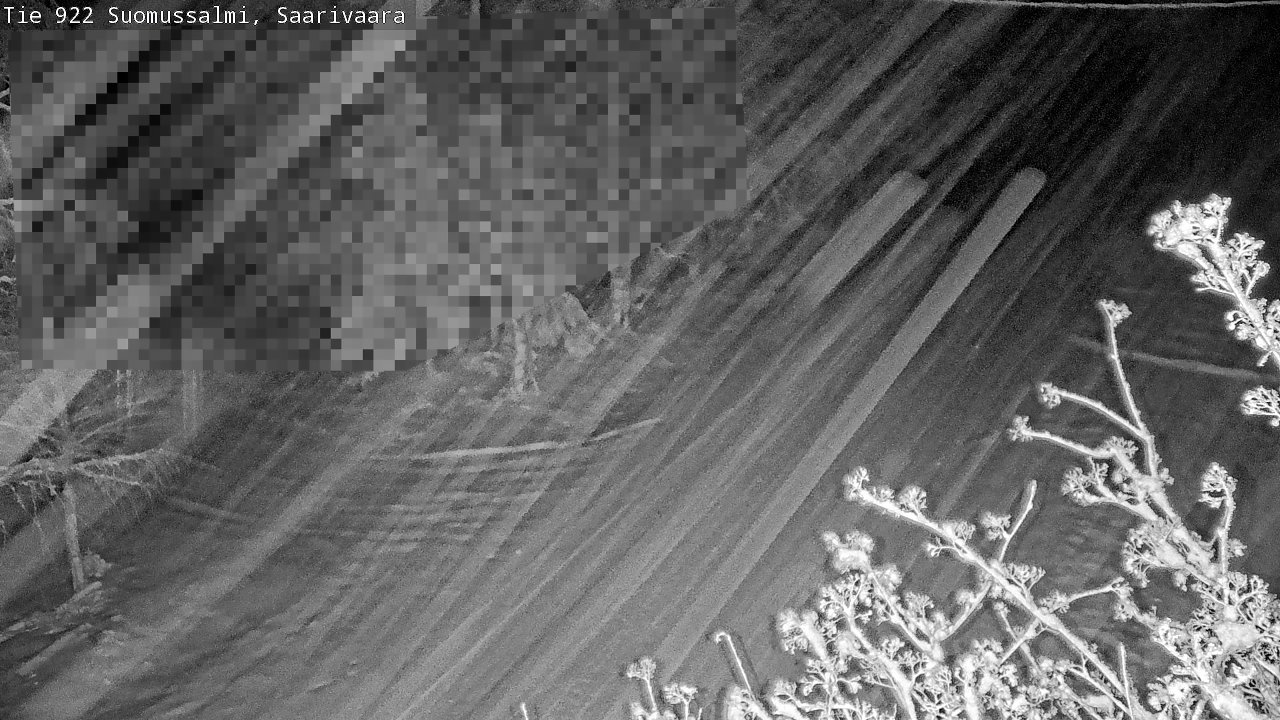 Weather Camera Image Road 950 843 Suomussalmi, Saarivaara, Suomussalmi, Kainuu