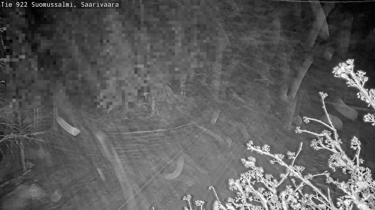 Weather Camera Image Road 950 843 Suomussalmi, Saarivaara, Suomussalmi, Kainuu