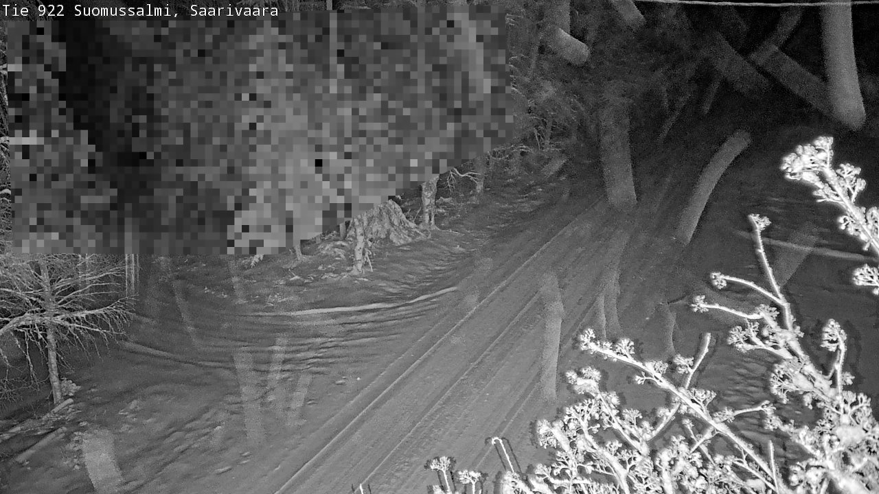 Weather Camera Image Road 950 843 Suomussalmi, Saarivaara, Suomussalmi, Kainuu