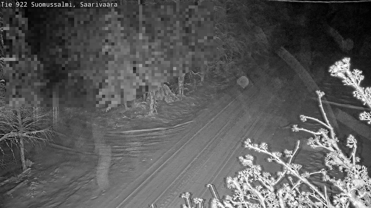 Weather Camera Image Road 950 843 Suomussalmi, Saarivaara, Suomussalmi, Kainuu