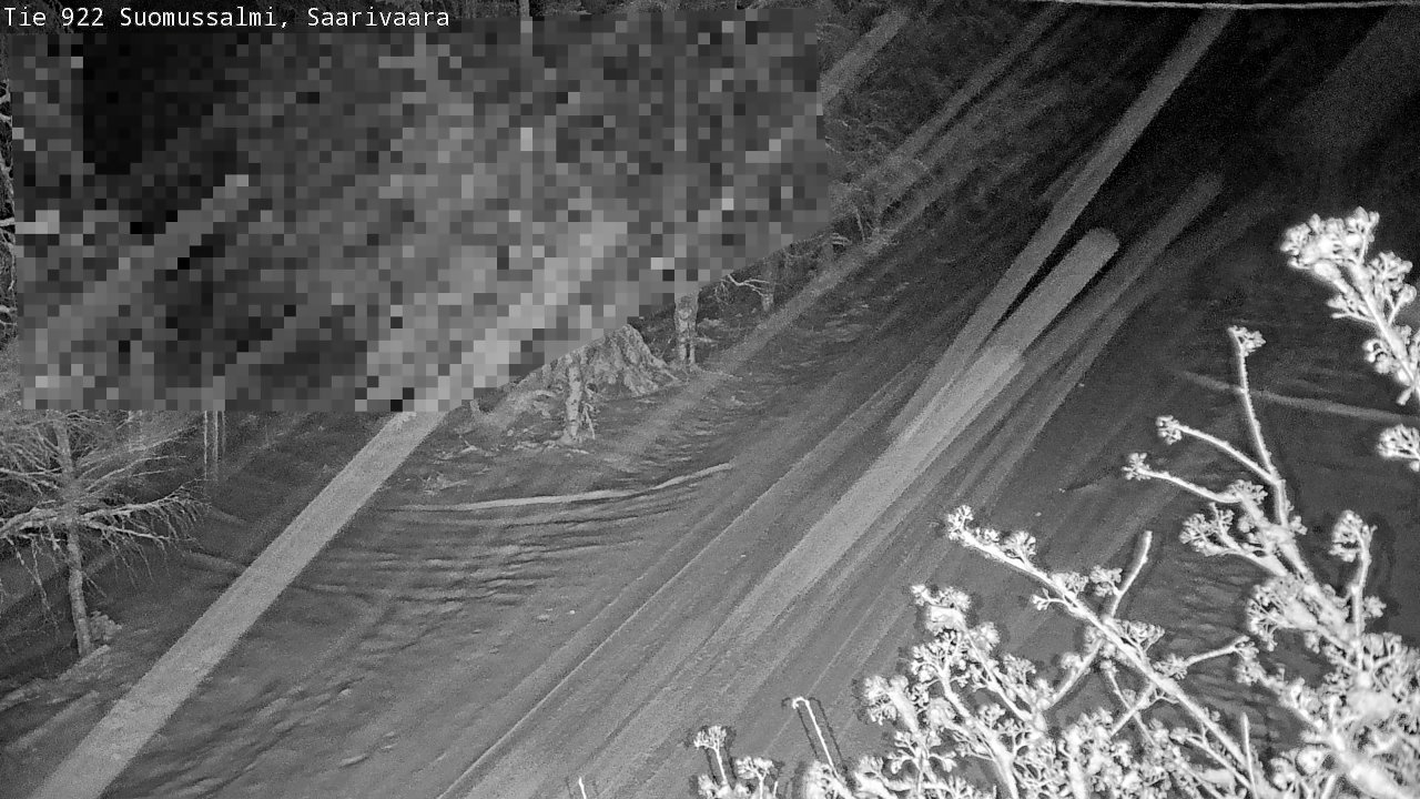 Weather Camera Image Road 950 843 Suomussalmi, Saarivaara, Suomussalmi, Kainuu