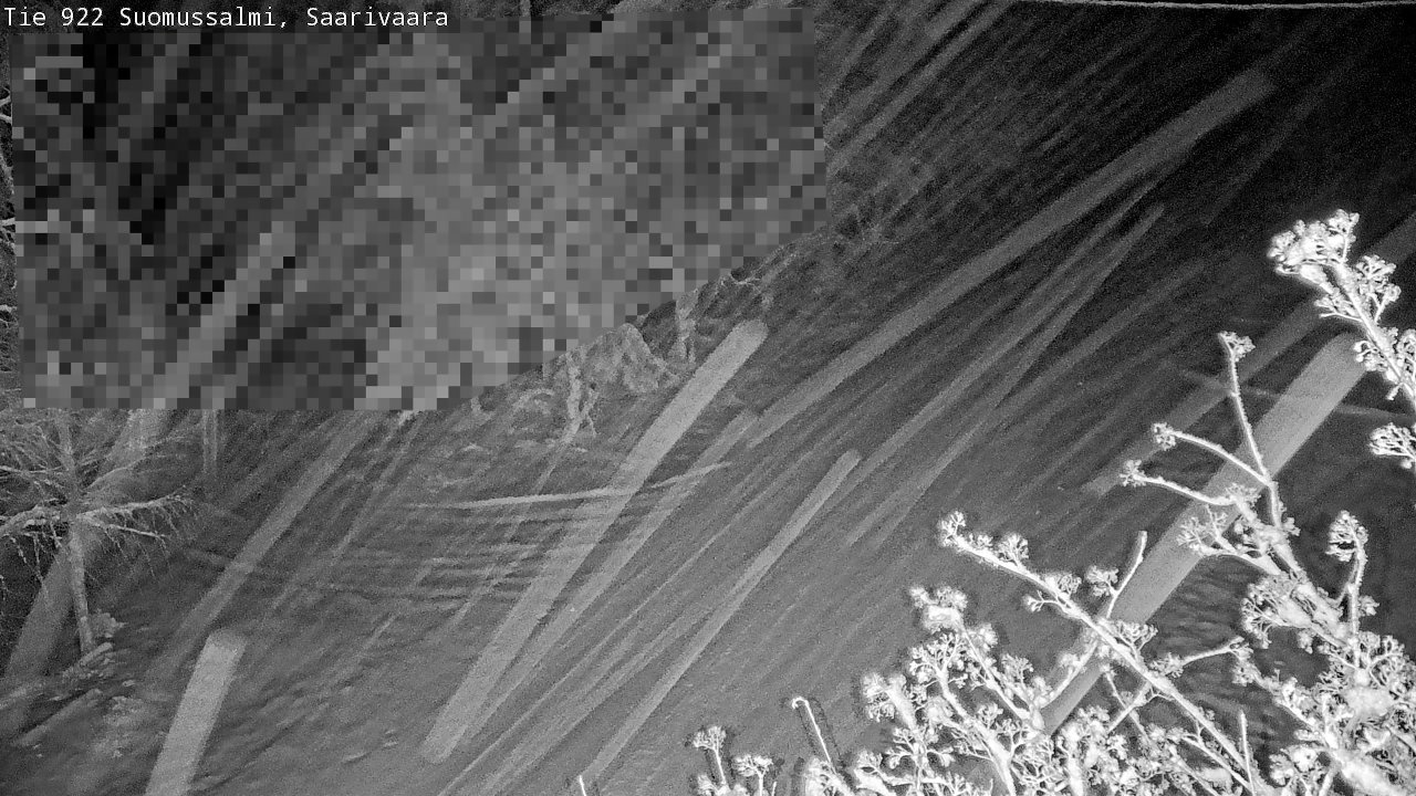 Weather Camera Image Road 950 843 Suomussalmi, Saarivaara, Suomussalmi, Kainuu
